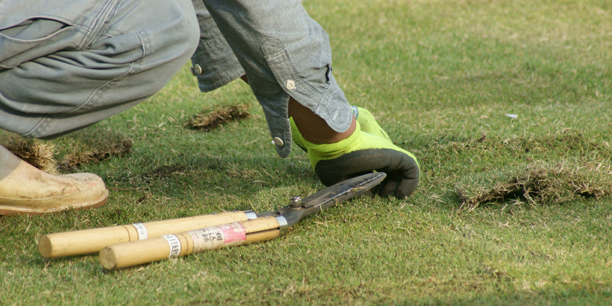 BENZAIのワンストップサポート