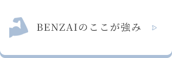BENZAIのここが強み